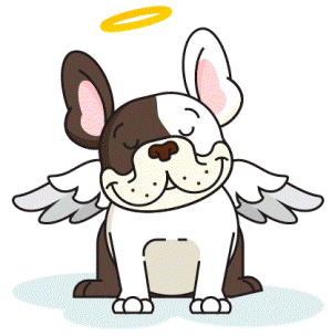 angel dog